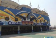 中国北方最大海洋公园将开业 规模超香港