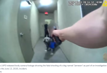 洛市警局公布警员射杀一只穿有尼克斯队球衣的狗的画面