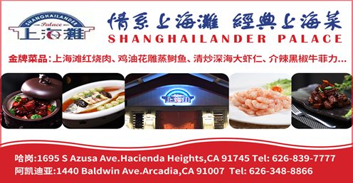 shang-496x258