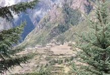 【林旭点评】 藏族文化的与时俱进