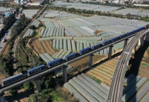 海外网评:世界变局中,中国与东南亚国家携手打造发展高地