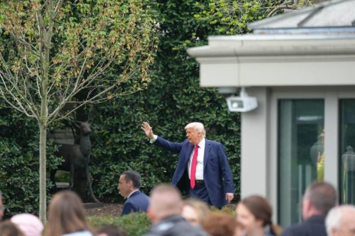 c6ed66e7b7385f9271a1a51c23b03ed7