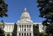 加州州长之争:5位领先候选人势均力敌