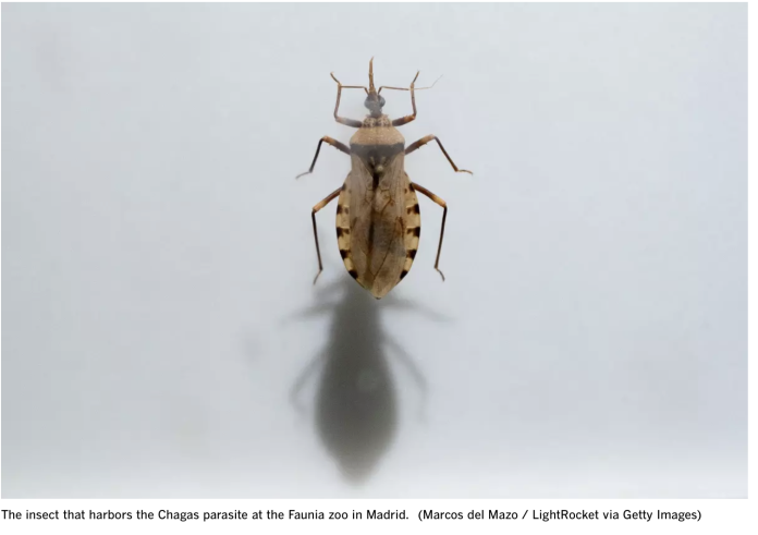 截屏2025-09-02 04.29.05