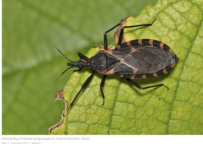 截屏2025-09-09 00.08.59