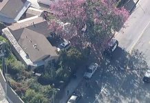 洛市警方:房东在Studio City公寓遭裸体闯入者摔倒在地后开枪将其击毙