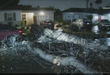 暴雨肆虐南加州 洛县山洪暴发预警解除