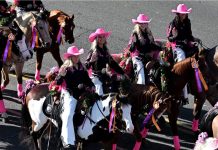 新视角:玫瑰花车游行宣布首次在抖音直播