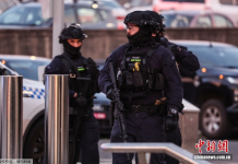 悉尼邦迪海滩枪击事件已致12死29伤