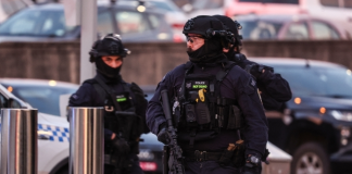 悉尼邦迪海滩枪击事件已致12死29伤