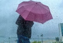 25年来加州首次完全摆脱干旱