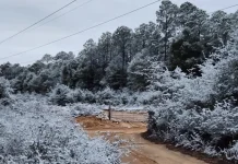 暴风雪席卷多个地区 密歇根州百车连环相撞
