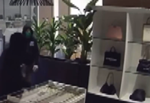 尔湾发生价值10万美元手提包抢劫未遂案,2人被捕