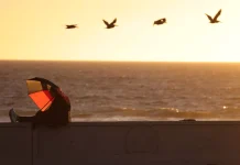 预计南加州部分地区将迎来破纪录的高温和强劲的圣塔安娜焚风