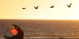 预计南加州部分地区将迎来破纪录的高温和强劲的圣塔安娜焚风