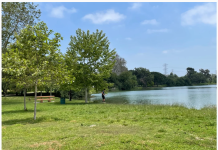 联邦移民执法人员在惠提尔峡谷公园拦下并盘问2名洛县雇员