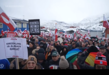 共和党众议员麦考尔称,美国入侵格陵兰岛将意味着“与北约开战”