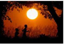 CDC称,2024年美国人均预期寿命创历史新高