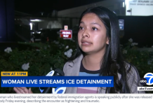 “主啊,请保佑我” 一女子直播移民执法人员在艾尔蒙地市砸碎其车窗并拘留她的过程