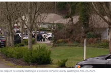 华盛顿州一处住宅外发生持刀伤人事件,4死、嫌犯被击毙