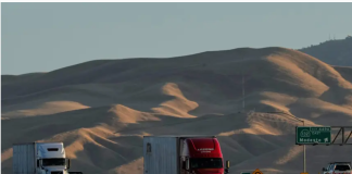 法官裁定:加州必须允许移民卡车司机保留驾照