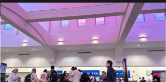 国会议员称美军使用激光击落边境保护局无人机