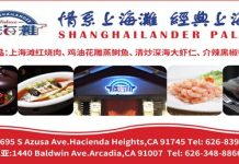 洛然美凡艺璀璨春晚在洛杉矶盛大举行