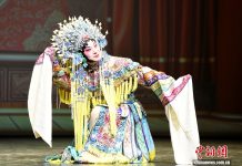 (中国两会)侨界委员谈政府工作报告:凝聚力量 回应期盼