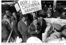 在性侵指控曝光后,劳工权益偶像塞萨尔·查韦斯在加州的影响力正逐渐瓦解