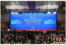 (聚焦博鳌)乘“数”而上,华商转型发展向新而行