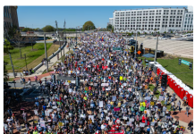 超过3000个城镇的民众走上街头 “No King”在全美引发大规模示威