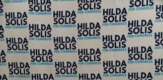 竞选第38区国会议员 苏丽丝的艾尔蒙地竞选总部启动