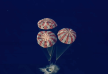 太空迷在南加州观看派对上欢呼“阿尔忒弥斯二号”溅落