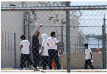 2025年大洛杉矶地区ICE逮捕人数增加了2倍多 被拘留者中不到一半有犯罪记录