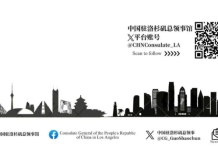 中国驻洛杉矶总领馆关于谨防护照旅行证代办风险的提醒