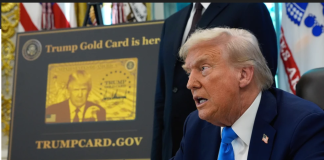 起价100万美元的特朗普“金卡”签证目前仅批准1人