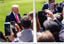 关于科学家失踪或死亡的阴谋论如何从网络论坛蔓延到白宫