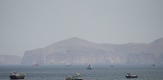 阿联酋退出欧佩克,重创全球产油国组织