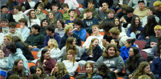 桑迪胡克小学枪击案后启动的匿名举报系统已收到近40万条举报