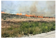 圣安娜焚风肆虐南加州,两处火灾爆发、引发疏散