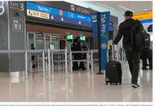 TSA:现在航空旅客可携带医用大麻登机