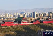 美国洛杉矶华人华侨归国参访团新疆行之南疆:在昆仑与天山之间读懂另一种震撼