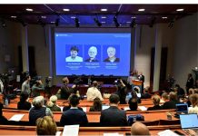 2026年诺贝尔医学奖揭晓:3名科学家因“用光研究大脑”获奖
